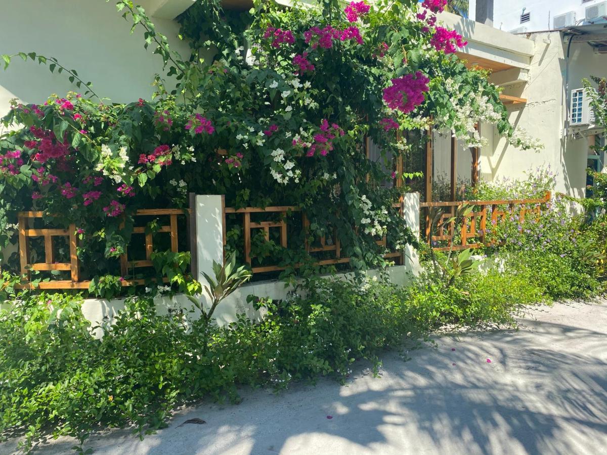 Bougainvillea Inn - Maldives Fulidhoo Exterior photo